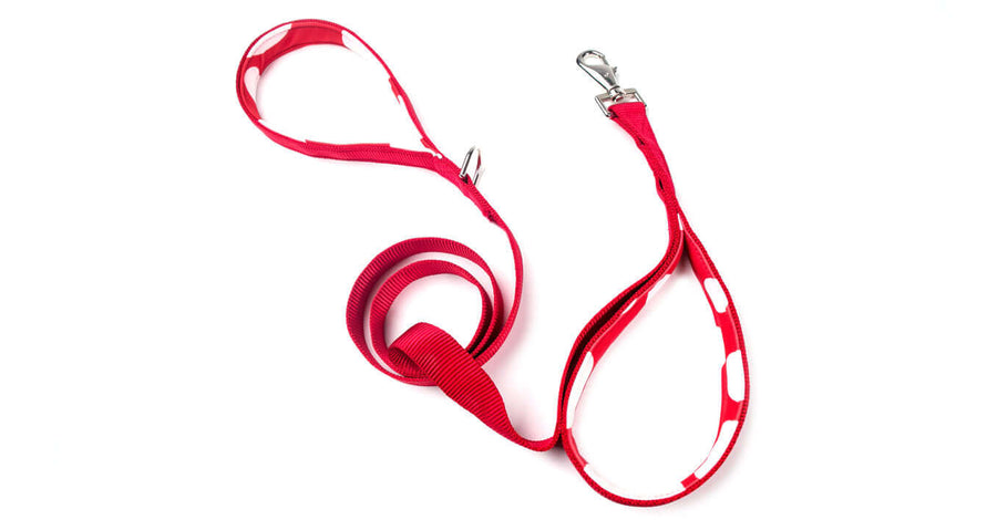 5ft 2 in 1 Dog Leash - Red with Red Dots for a stylish and comfortable pet walking experience.