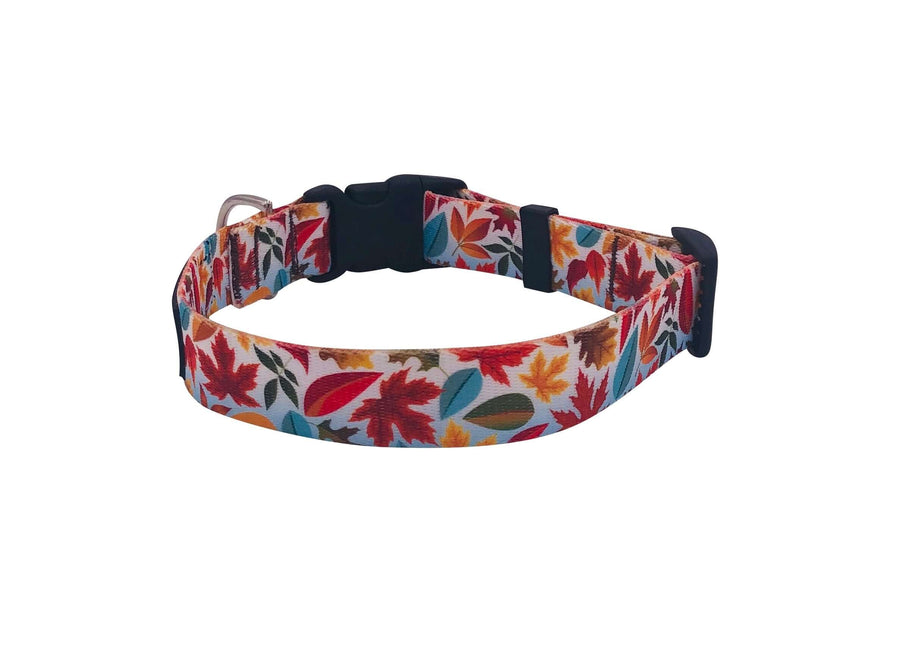 Autumn Leaves Collar made with durable polyester, featuring a vibrant autumn leaf print, quick-release buckle, and D-ring.