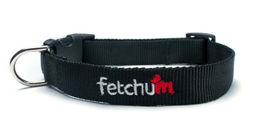 Black Collar made from durable webbing with quick release buckle and D ring for strong dogs.