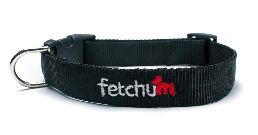 Black Collar made from durable webbing with quick release buckle and D ring for strong dogs.