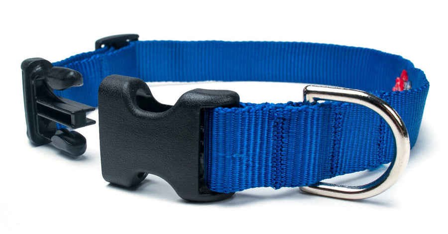 Blue Collar featuring quick release buckle and durable 1