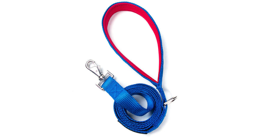 BLUE PADDED HANDLE LEASH made with mil tech tubular webbing and a stylish swivel snap for comfort and durability.