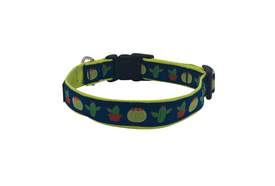 Cactus Collar featuring colorful cactus designs on durable nylon webbing with quick-release buckle.