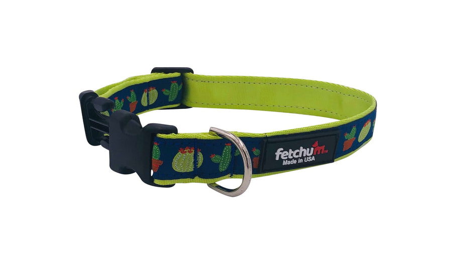 Cactus Collar made from durable nylon with vibrant cactus design, featuring quick release buckle and D ring, made in USA.