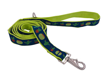 CACTUS LEASH featuring colorful cactus design, lightweight, UV resistant, and comfortable 5ft long.