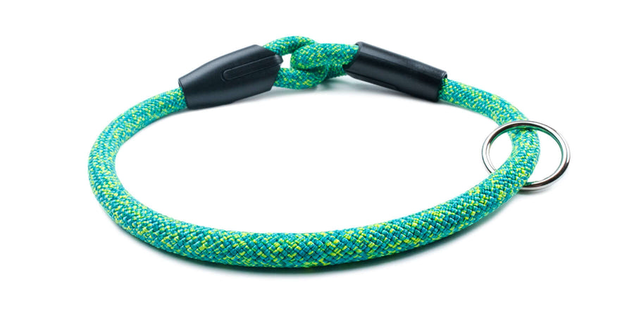 Fetchum Dog Collar In Loopy Lizard made with premium climbing rope, designed for durability and comfort for your dog.