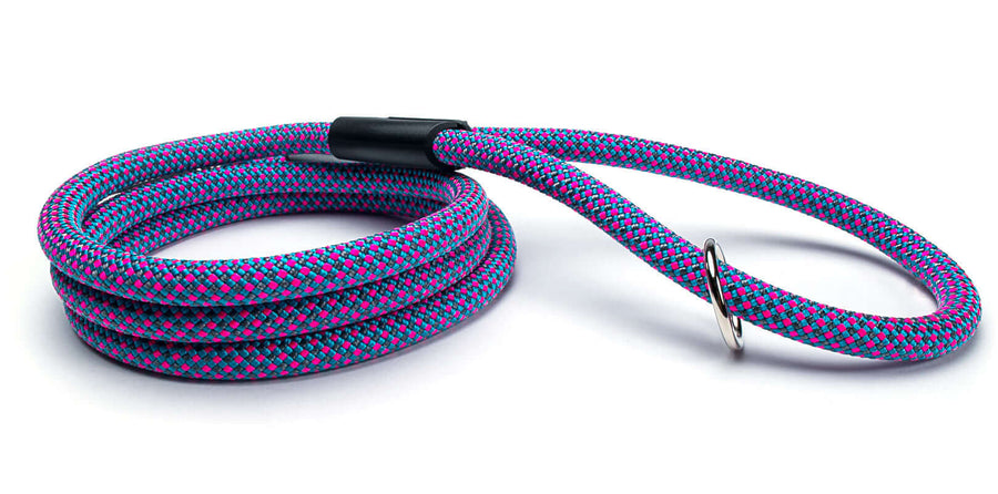 Fetchum Leash In Electric Blitz featuring vibrant colors and a durable design for energetic dogs.
