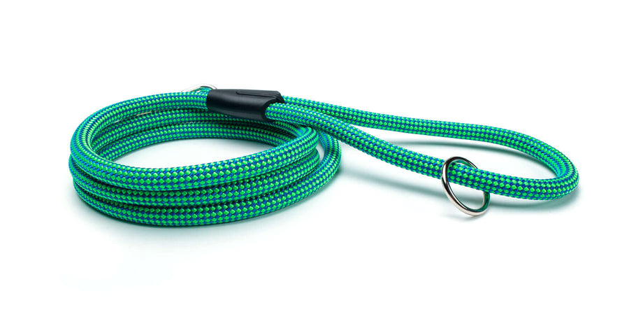 Fetchum Leash In Laguna Pawcifico displayed in vibrant green and blue climbing rope for durability and comfort.