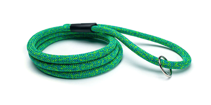 Fetchum Leash In Loopy Lizard - premium climbing rope leash with vibrant green design for walking dogs.