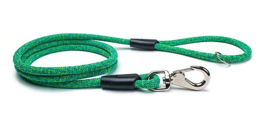 Fetchum Leash In Loopy Lizard showing premium climbing rope design and easy-use swivel marine clip.