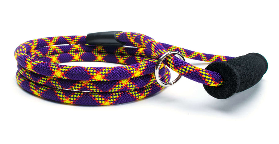 Fetchum Leash In Mardi Paw + Comfort Grip with vibrant colors and comfort grip handle, ideal for energetic dogs.
