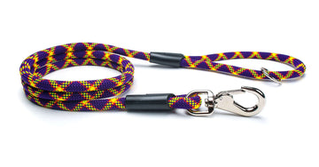 Fetchum Leash In Mardi Paw featuring a colorful, durable climbing rope with a swivel clip and O-ring handle.