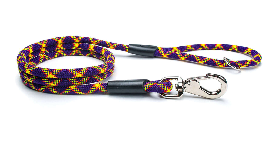 Fetchum Leash In Mardi Paw featuring a colorful, durable climbing rope with a swivel clip and O-ring handle.