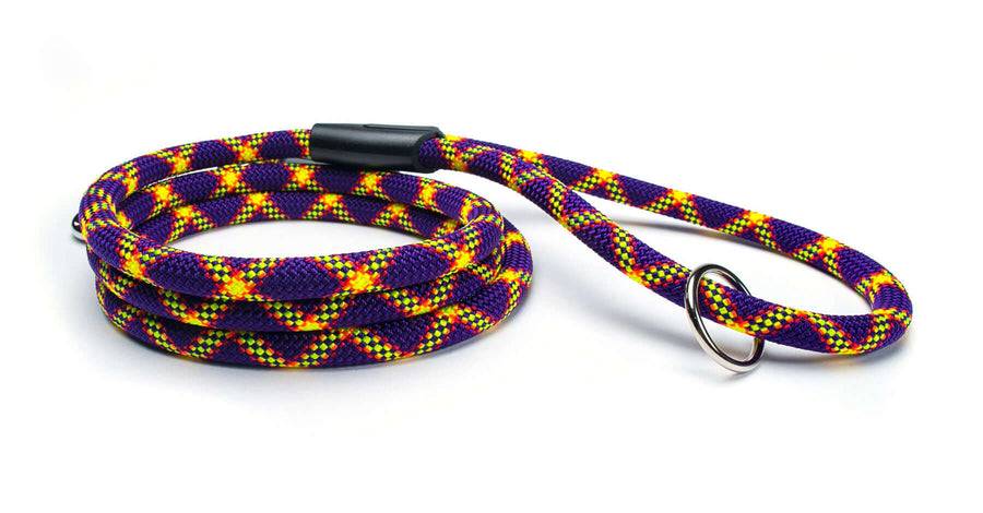 Fetchum Leash In Mardi Paw, a durable and colorful leash designed for energetic dogs, featuring premium materials.