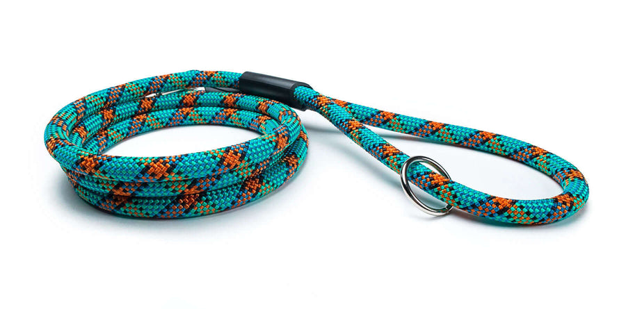 Fetchum Leash In Ocean Mist Twist featuring vibrant colors and a secure swivel marine clip for outdoor adventures.