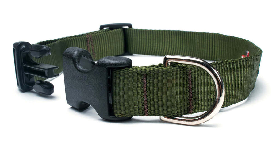 Green Collar made from durable mil-spec webbing with easy-release buckle and D ring, perfect for strong dogs.