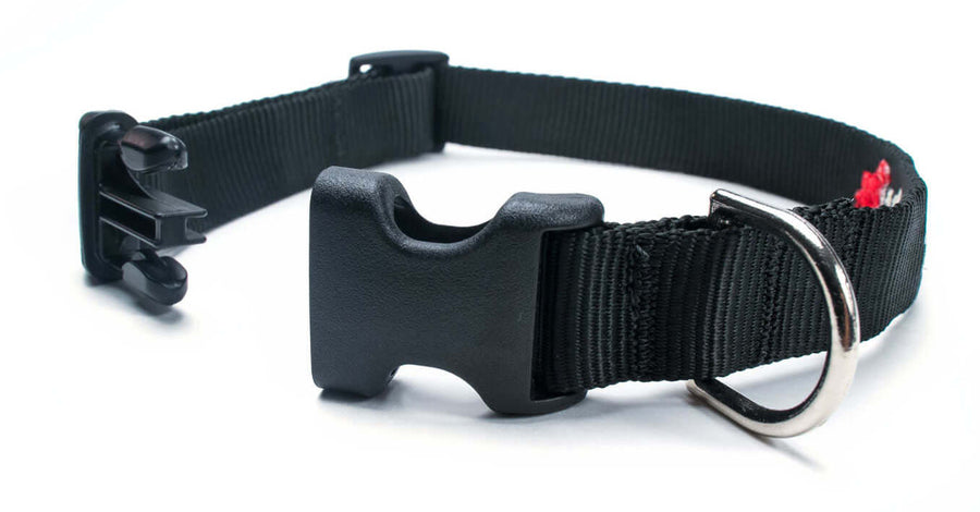 Black Collar with quick release buckle and durable D ring for secure fastening.