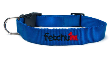 Blue Collar blue dog collar made with durable tubular webbing and quick release buckle