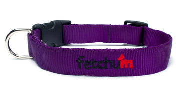 Purple Collar featuring durable mil-spec webbing, quick release buckle, and D ring, perfect for strong dogs.