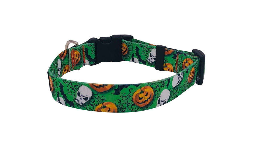 Pumpkin and Skull Dog Collar featuring vibrant designs of skulls and pumpkins on durable webbing.