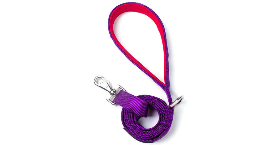 PURPLE PADDED HANDLE LEASH featuring a vibrant purple and pink design with ergonomic padded handle and swivel snap.