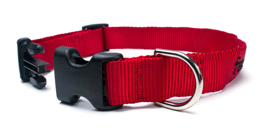 Red Collar with quick release buckle and D ring, made from durable mil-spec webbing, ideal for strong dogs.