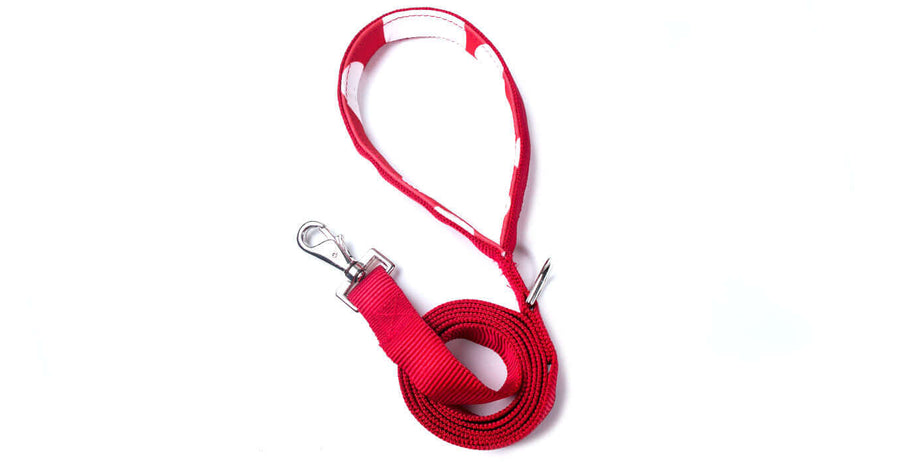 RED PADDED HANDLE LEASH made with durable webbing and a padded neoprene handle for comfort.