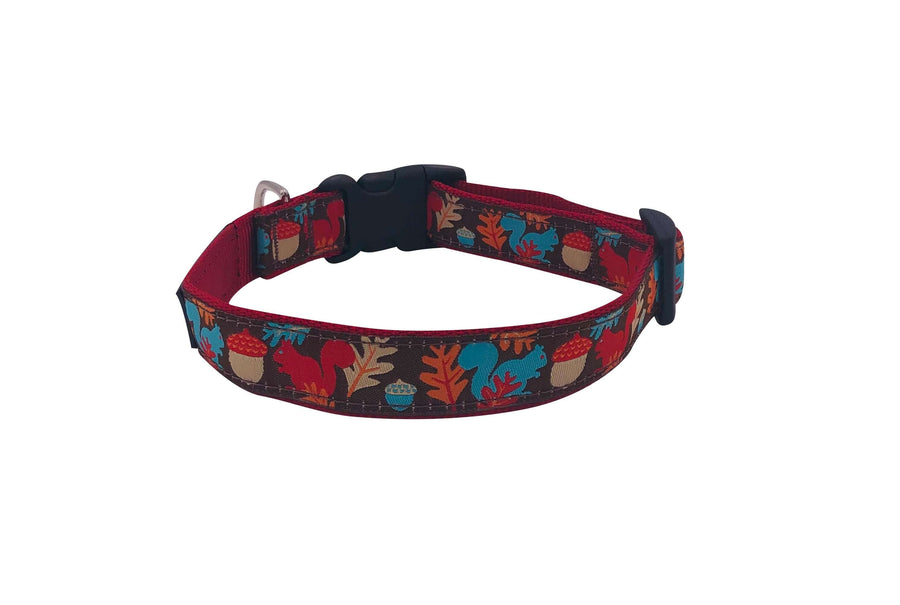 Squirrel Collar made of tubular nylon webbing, featuring colorful squirrel and acorn design, quick release buckle.