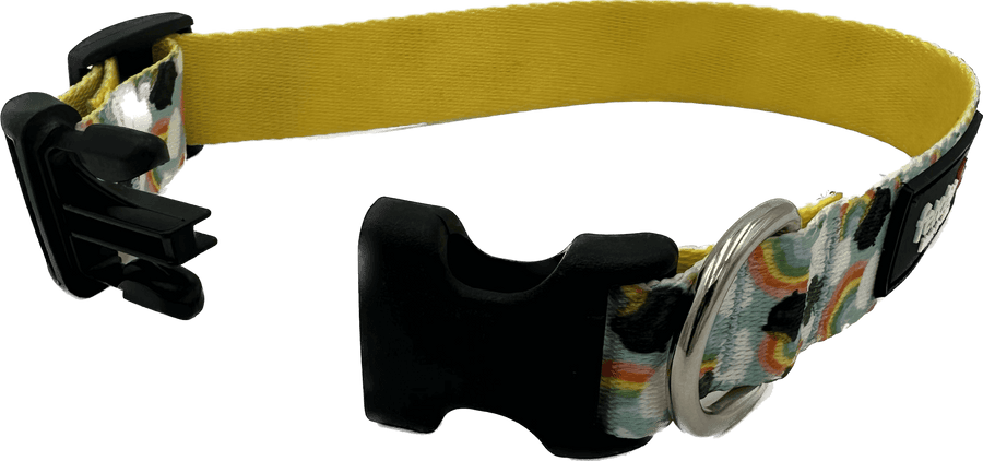 St. Paddys Rainbow Dog Collar with quick release buckle and D ring, made from durable polyester print webbing.