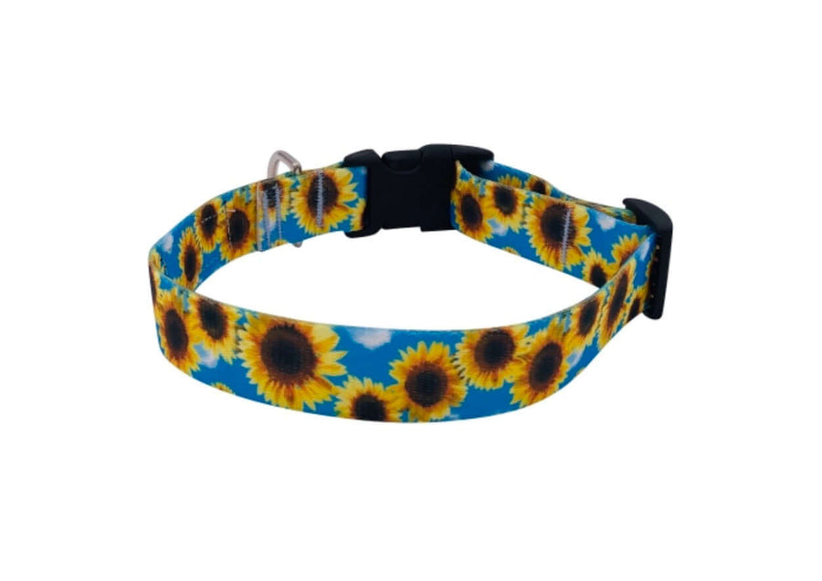 Sunflower Collar made of UV-resistant polyester print webbing with blooming sunflowers on a bright blue background.
